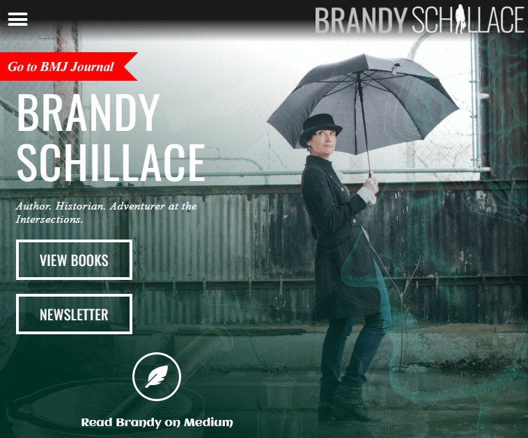 website designer for author brandy schillace